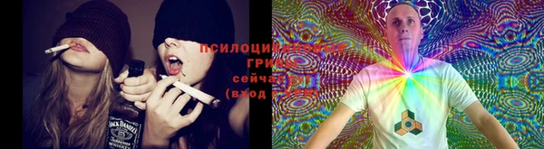 бутират Баксан